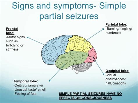 lobe epilepsy|are focal aware seizures dangerous.